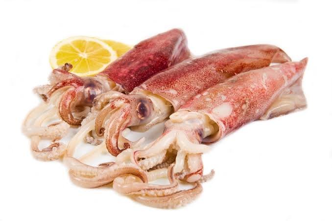 Nissin Loligo Squid 1kg